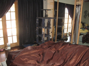Enlarge photo 24