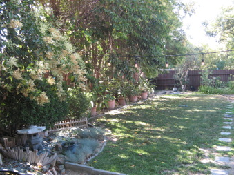 Enlarge photo 35