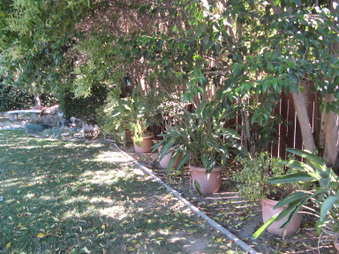Enlarge photo 40