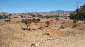 16073 Vasquez Canyon Rd.