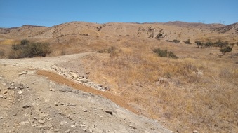 Enlarge photo 3