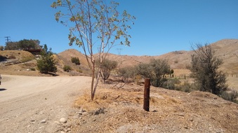Enlarge photo 6