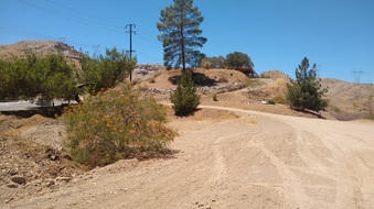 Enlarge photo 7