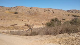 Enlarge photo 10