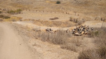 Enlarge photo 11