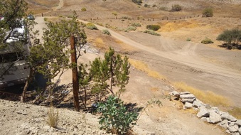 Enlarge photo 21