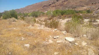 Enlarge photo 4