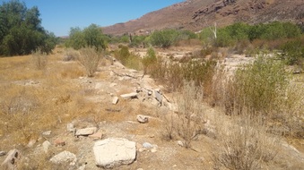 Enlarge photo 5