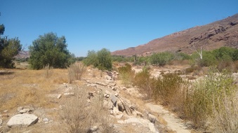 Enlarge photo 9