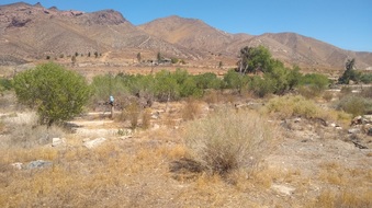 Enlarge photo 11