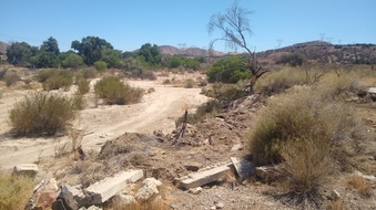 Enlarge photo 13