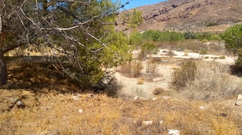 Enlarge photo 14