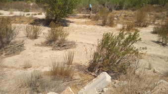 Enlarge photo 15