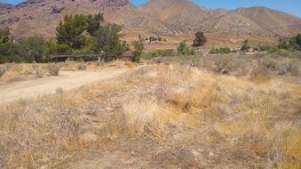 Enlarge photo 19