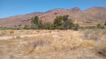 Enlarge photo 21