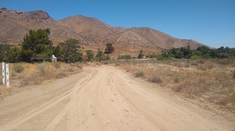 Enlarge photo 24