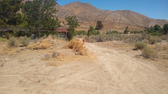 Enlarge photo 23