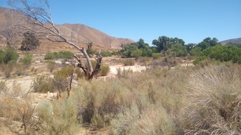 Enlarge photo 28