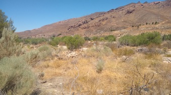 Enlarge photo 29