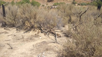 Enlarge photo 31
