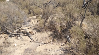 Enlarge photo 30