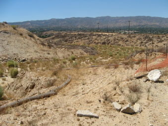 Enlarge photo 3
