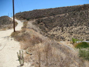 Enlarge photo 14