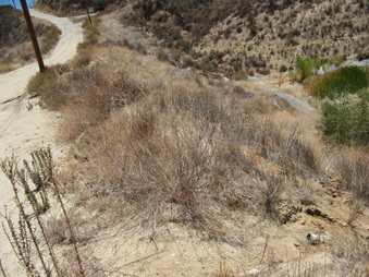 Enlarge photo 16