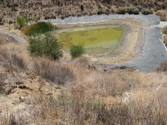 Enlarge photo 17