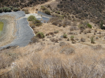 Enlarge photo 18