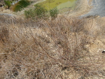 Enlarge photo 19