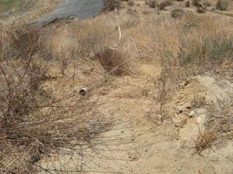 Enlarge photo 20