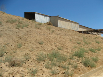 Enlarge photo 33