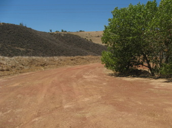 Enlarge photo 7