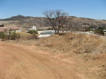 Enlarge photo 46