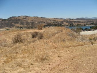 Enlarge photo 56