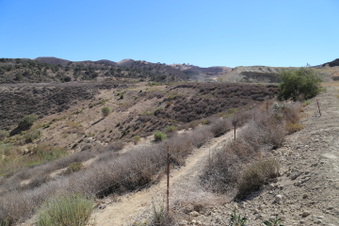 Enlarge photo 109