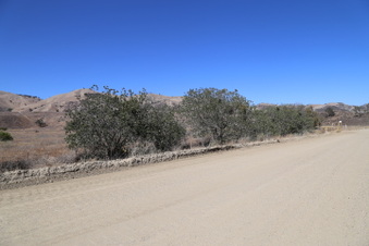 Enlarge photo 106
