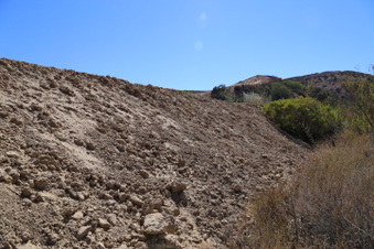 Enlarge photo 96