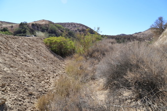Enlarge photo 95