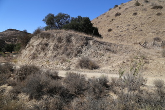 Enlarge photo 92