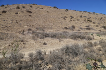 Enlarge photo 93