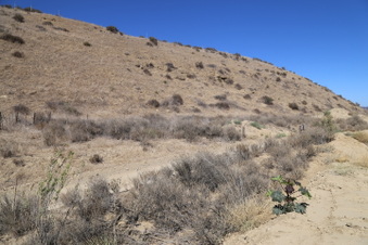Enlarge photo 88