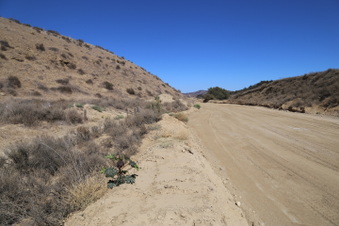 Enlarge photo 89