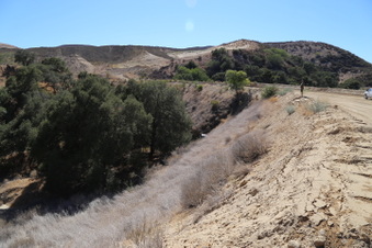 Enlarge photo 85