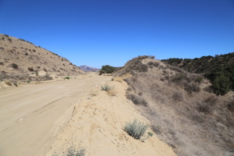 Enlarge photo 83