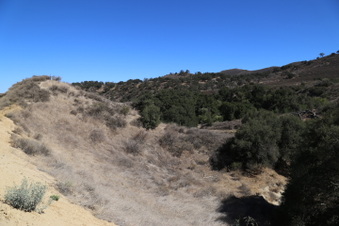 Enlarge photo 84