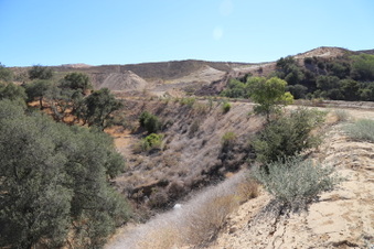 Enlarge photo 79