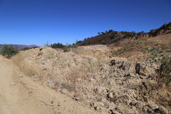 Enlarge photo 78