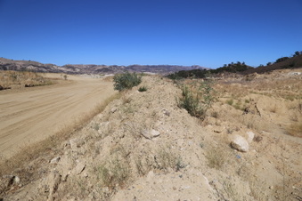 Enlarge photo 77